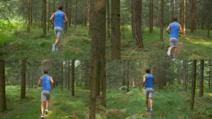 在安静的树林中跟随无法识别的运动员步道的酷炫镜头。