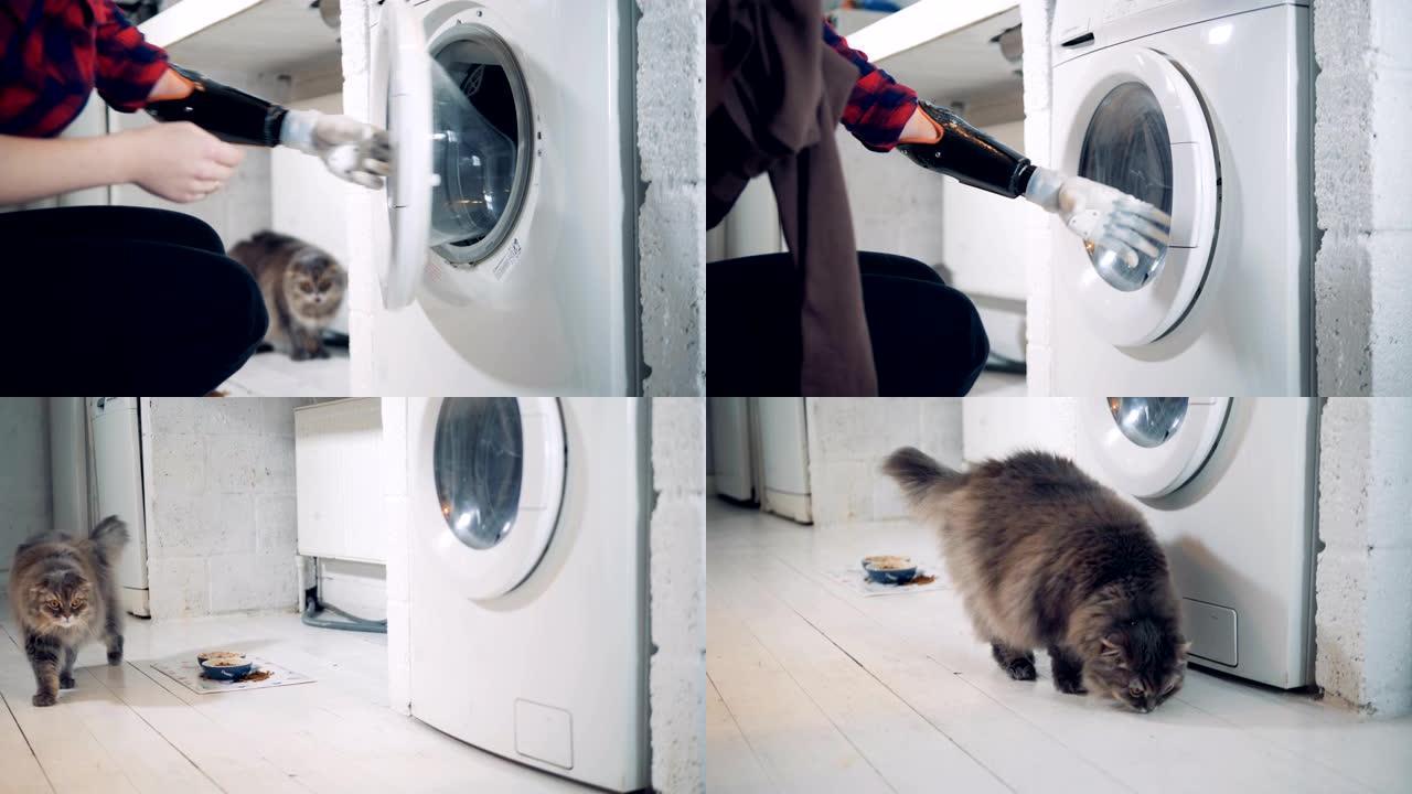一位仿生手臂的女士在洗完衣服后拿出衣服，一只猫走来走去