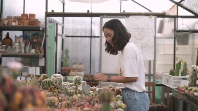 年轻的女园丁检查仙人掌盆栽植物