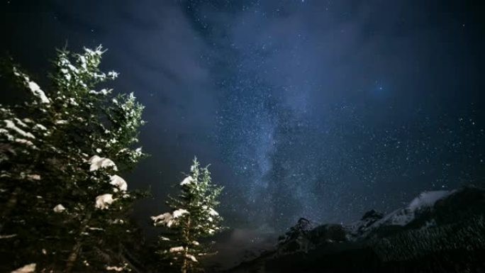 夜晚有银河的雪松树