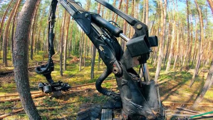 一辆拖拉机砍树，在树林里工作。