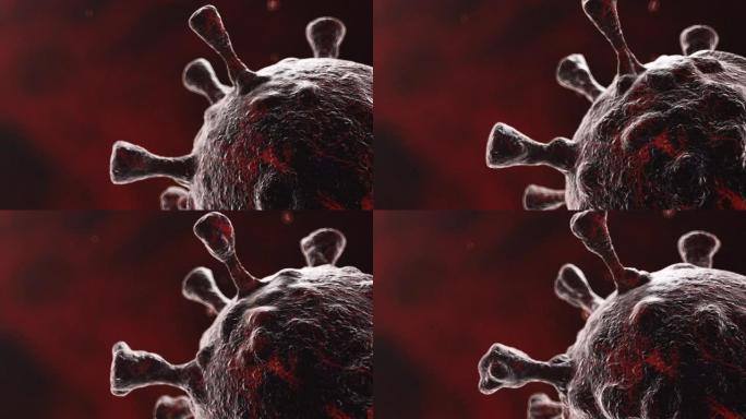 突变冠状病毒细胞的CGI