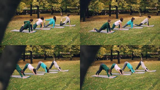 穿着时髦运动服的女孩在公园里锻炼，从瑜伽垫上的一个位置移到另一个位置。公园里可以看到绿色和黄色的草和