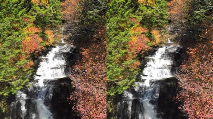 秋季叶色垂直日本瀑布
