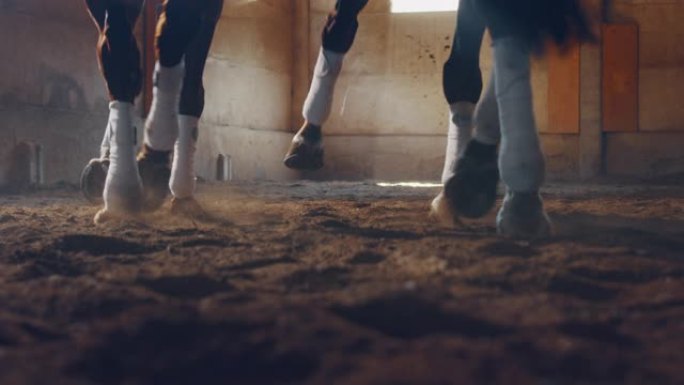 在骑马大厅进行赛马和盛装舞步比赛时，两个海湾马腿的电影慢动作特写