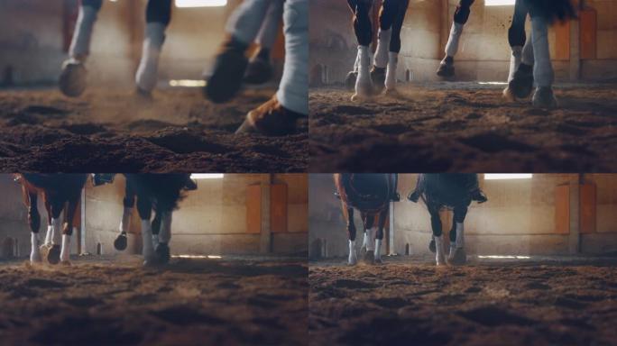 在骑马大厅进行赛马和盛装舞步比赛时，两个海湾马腿的电影慢动作特写