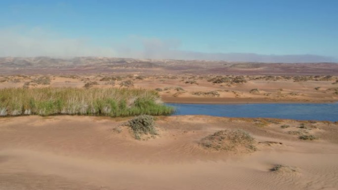 纳米比亚纳米布沙漠绿洲的4k平移视图