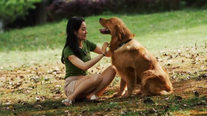 年轻的亚洲妇女在公园户外照顾她的狗