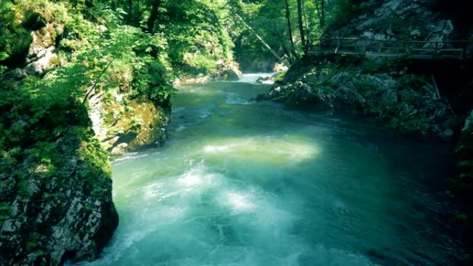 河流在野生森林中的石质河岸之间流动
