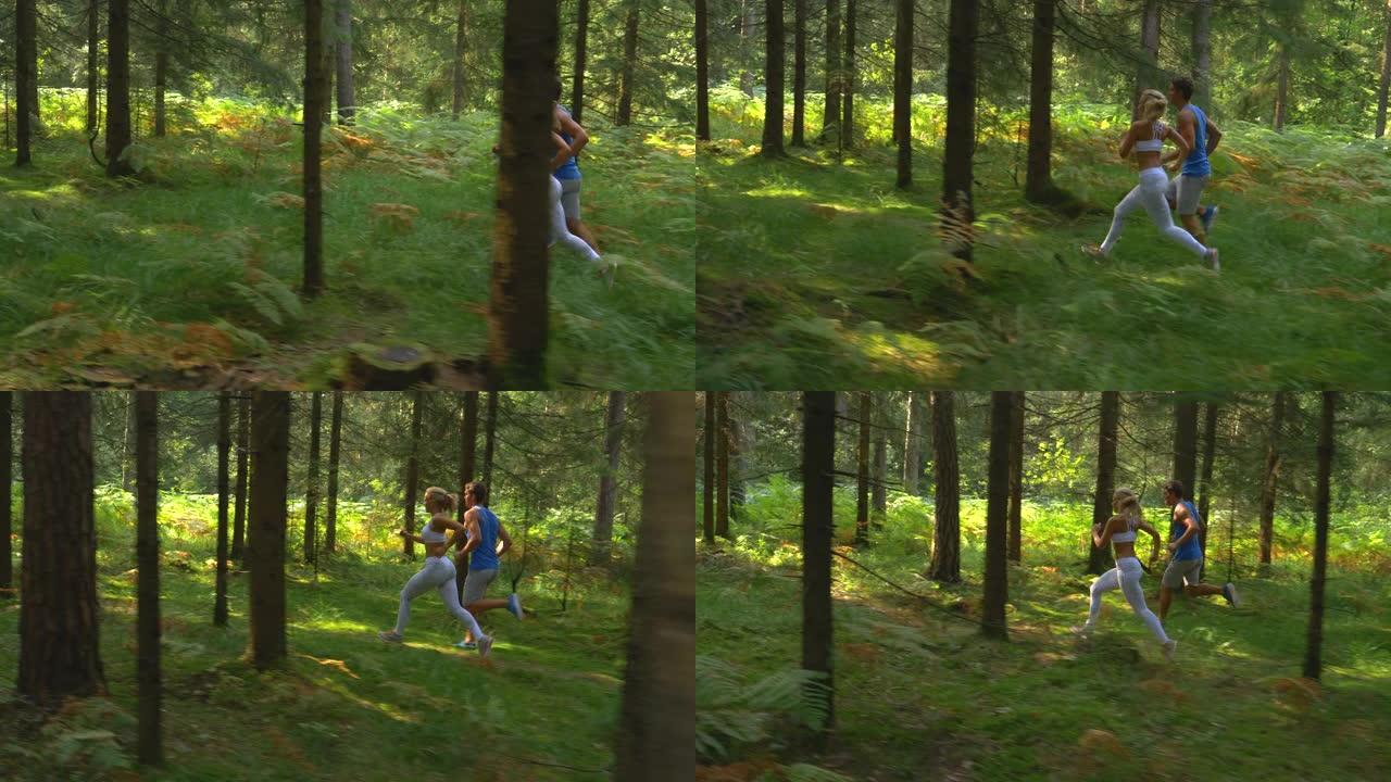 慢动作: 训练伙伴一起在风景优美的绿色树林中奔跑。