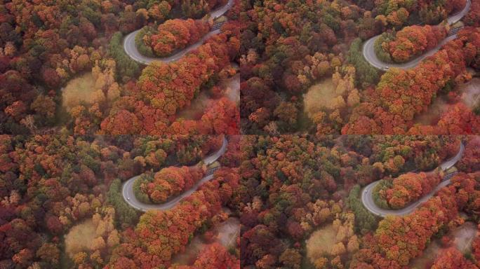 日本秋天森林中道路弯道的鸟瞰图会变色