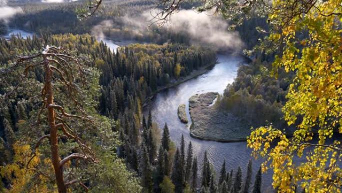 芬兰奥兰卡国家公园。秋天日出时有云的河流和常绿森林。UHD
