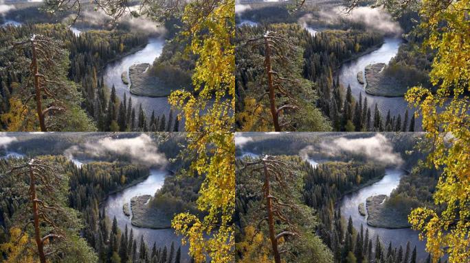 芬兰奥兰卡国家公园。秋天日出时有云的河流和常绿森林。UHD