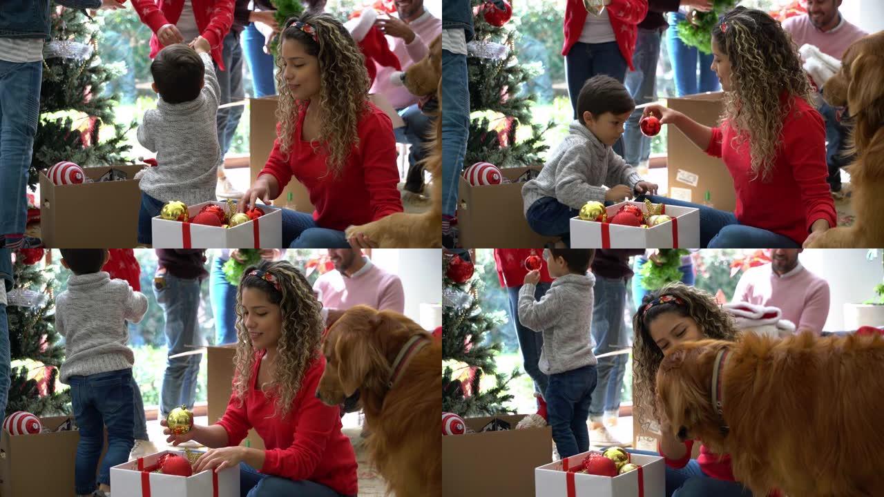 美丽的年轻母亲把圣诞装饰品递给可爱的男孩，抚摸她的狗，而全家人都在装饰圣诞树