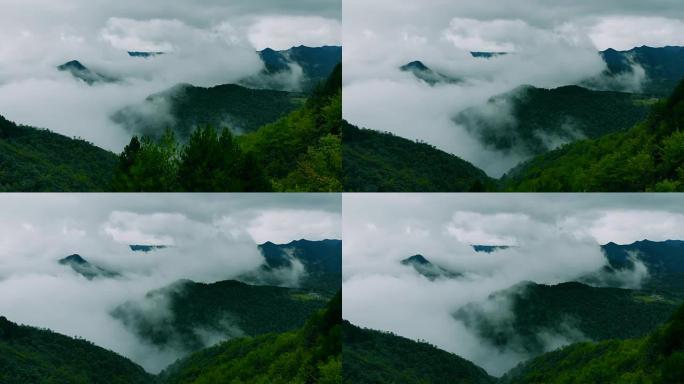 鸟瞰山山和森林与云