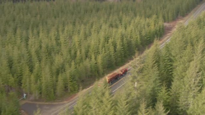 空中: 两台大型钻机沿着一条穿过松树林的高速公路运输原木