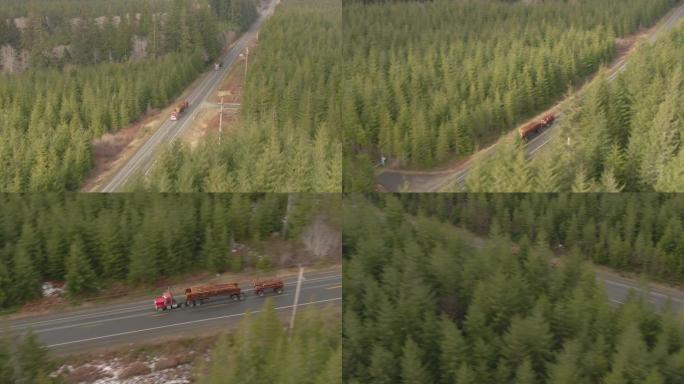 空中: 两台大型钻机沿着一条穿过松树林的高速公路运输原木