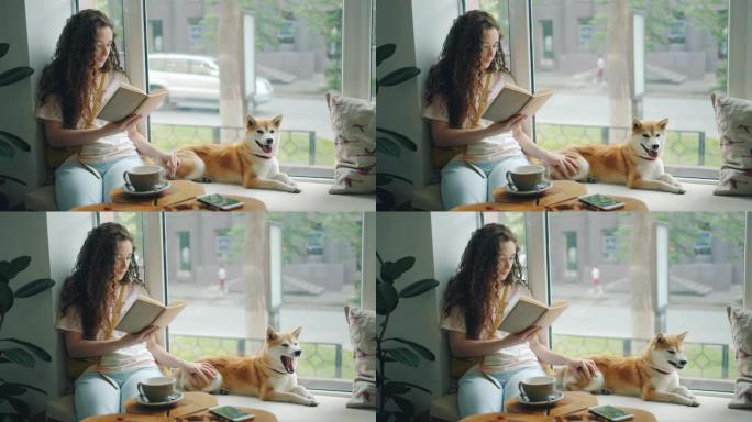 漂亮女孩看书，抚摸小狗在咖啡馆的窗台上放松