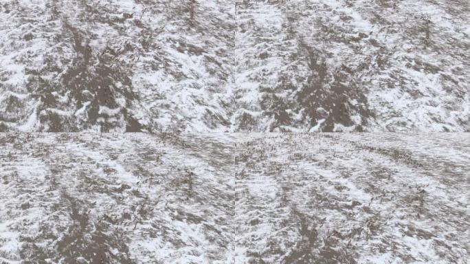 空中: 冬天，一群麋鹿迁徙，高飞在白雪皑皑的草原上。