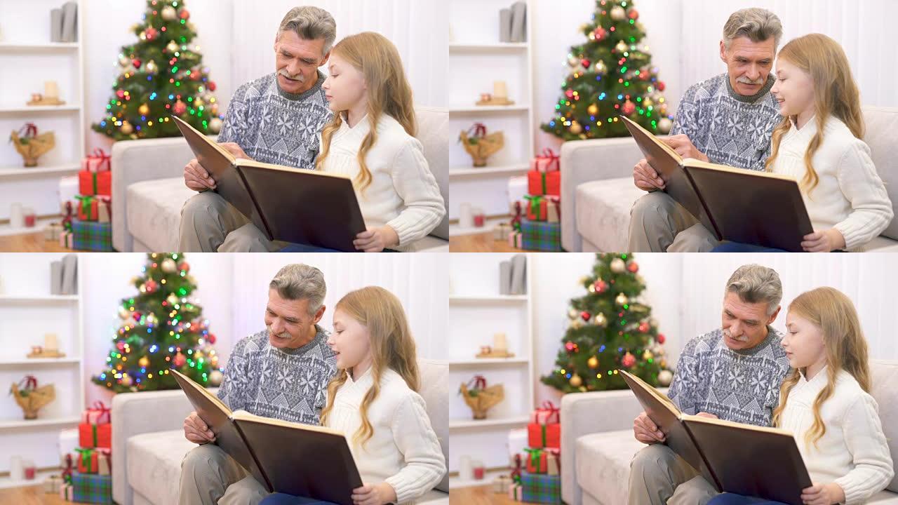 老人和一个女孩在圣诞树附近看书