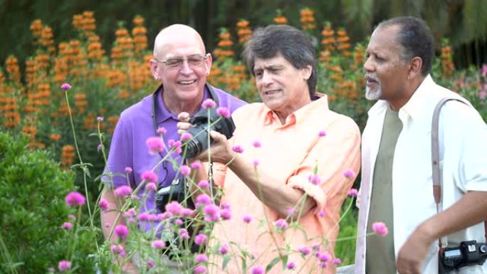 公园里拍摄大自然的三个多民族男子