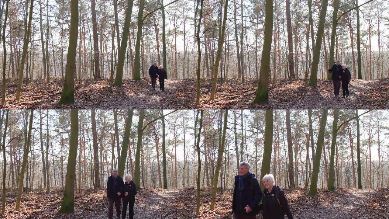 老年夫妇在森林徒步旅行时聊天