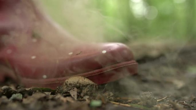 CU脚踩在森林中干燥，尘土飞扬的蘑菇上