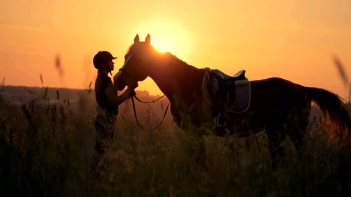 日落背景下的女人和她的马。