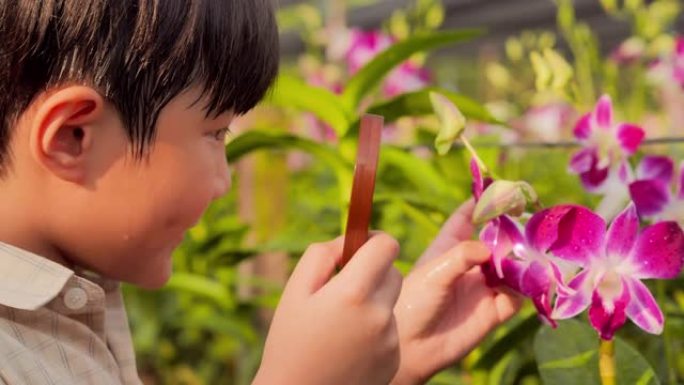 小男孩在花园里探索大自然，用放大镜寻找昆虫。教育，儿童，人，技术，春天，科学，夏天，有趣的概念。