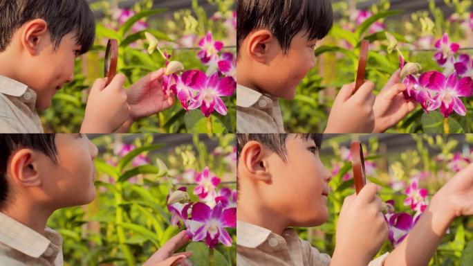 小男孩在花园里探索大自然，用放大镜寻找昆虫。教育，儿童，人，技术，春天，科学，夏天，有趣的概念。