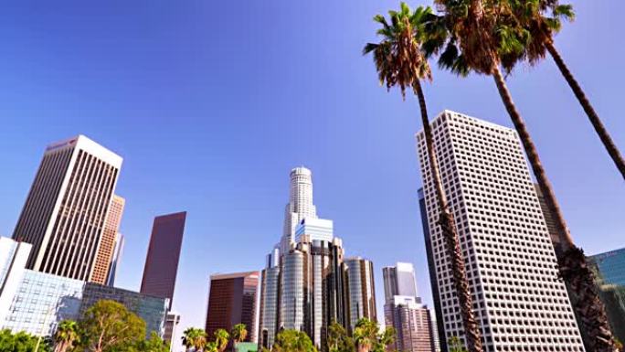 洛杉矶。商业区。棕榈树