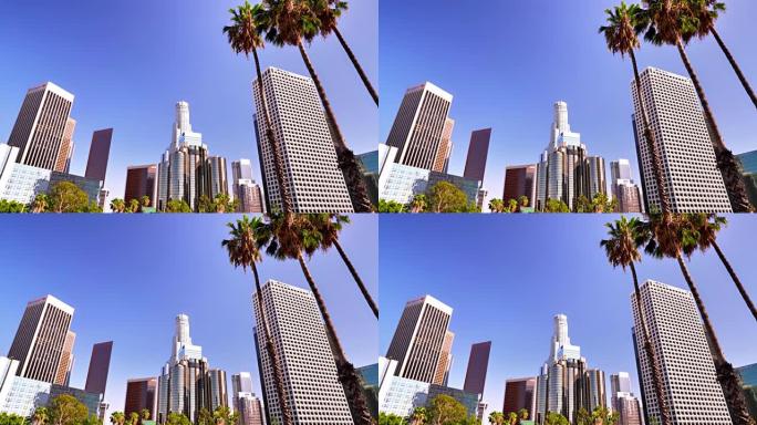 洛杉矶。商业区。棕榈树