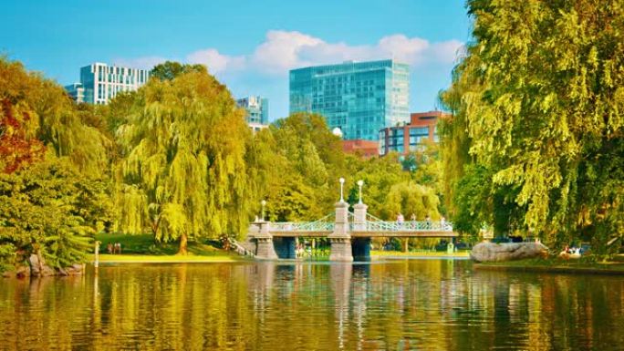 公共公园。波士顿。自然。企业建筑天际线。树。池塘。湖