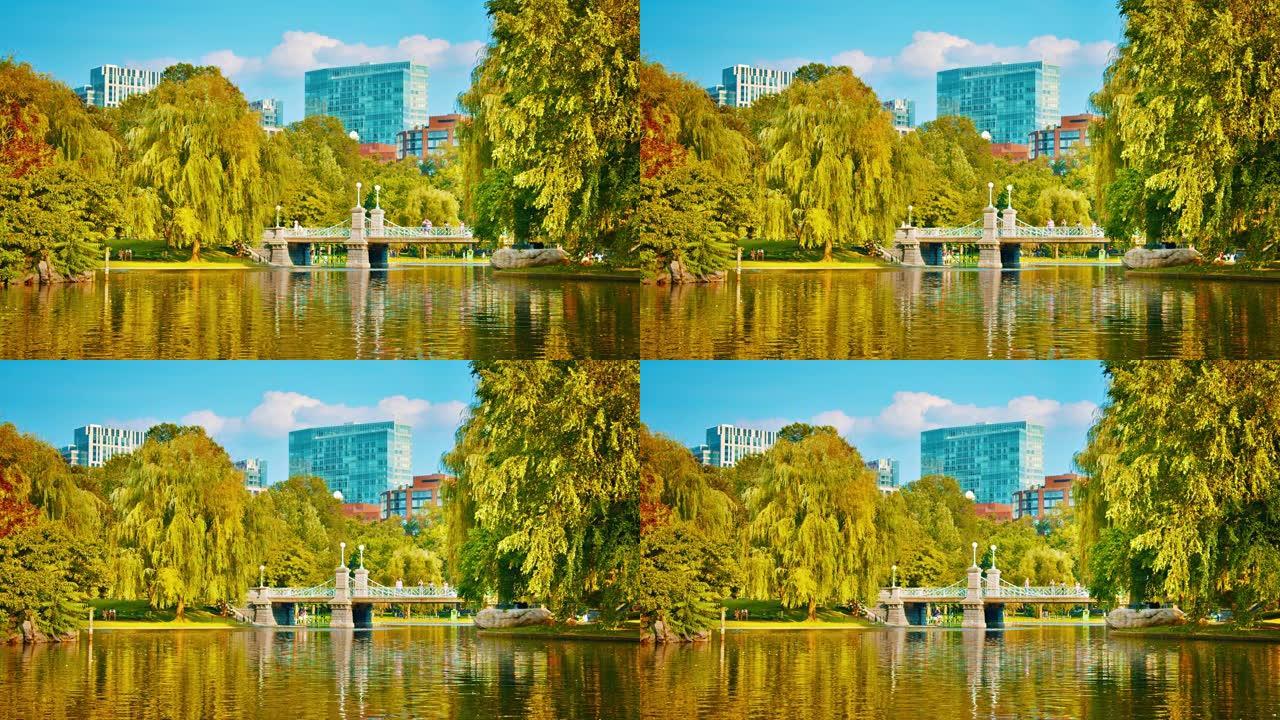 公共公园。波士顿。自然。企业建筑天际线。树。池塘。湖