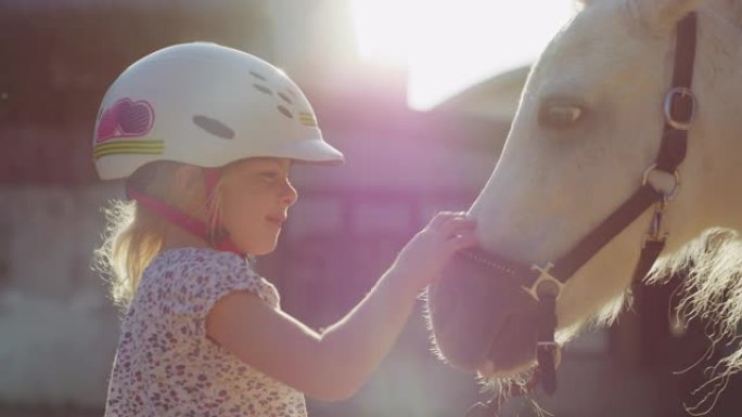 真实的近距离拍摄一个可爱的小女孩戴着骑师头盔，是爱抚着一匹白马在骑马厩与阳光
