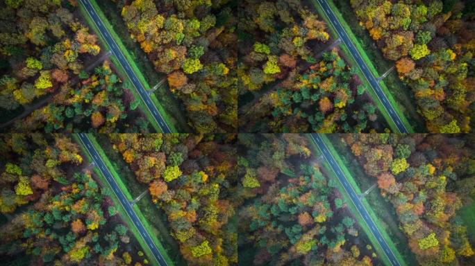 空中: 森林中的道路