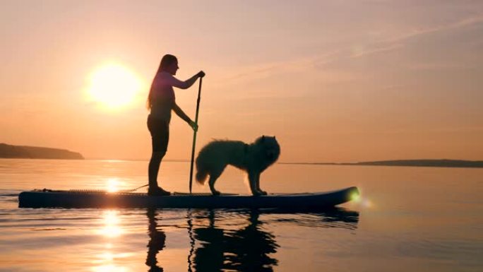 一个女人正在和一只狗做站立式桨板运动