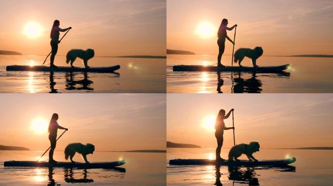 一个女人正在和一只狗做站立式桨板运动