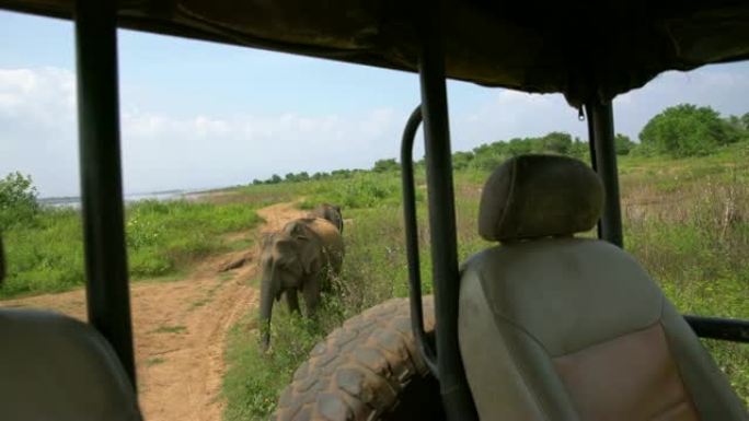 Ms elephants behind safari vehicle,斯里兰卡