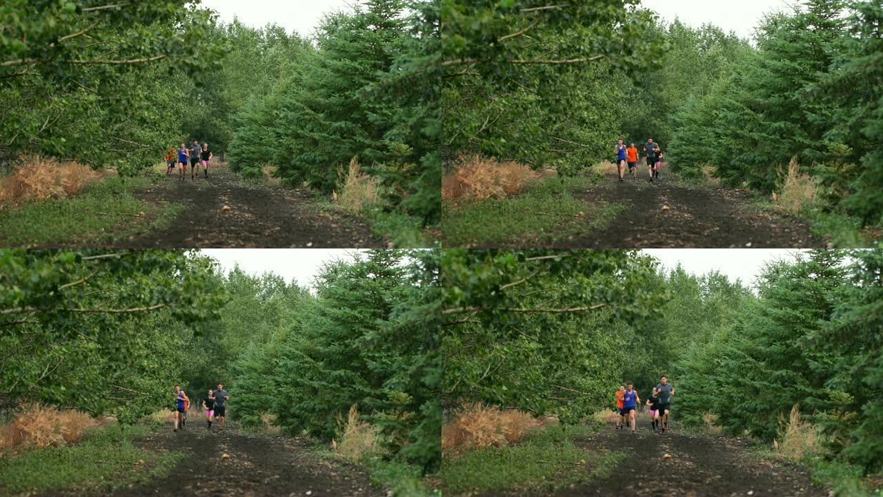 慢跑者在森林4k的小路上慢跑