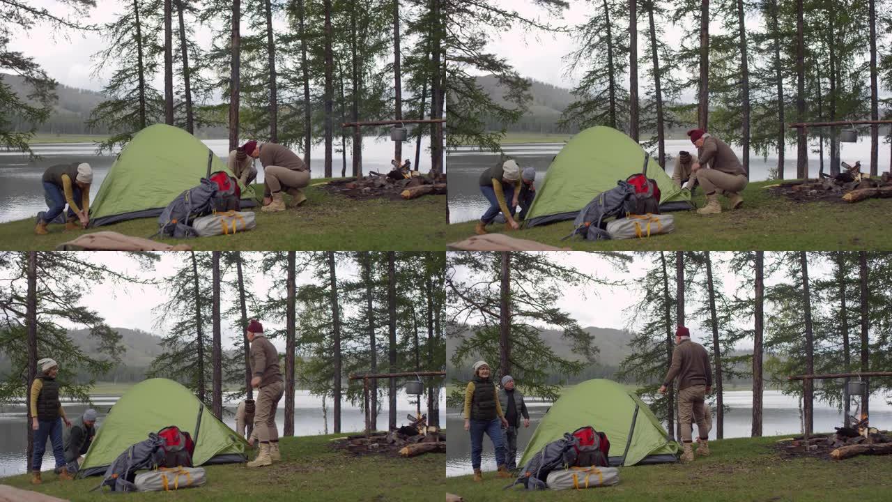 高级露营者在湖旁的松树林中搭建帐篷