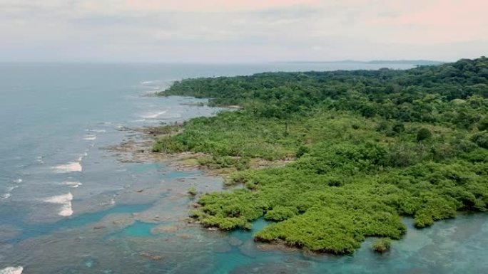 热带岛屿的田园诗般的景色。蓝色海洋和绿色丛林。鸟瞰图