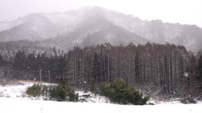 慢动作: 日本福岛山区的降雪