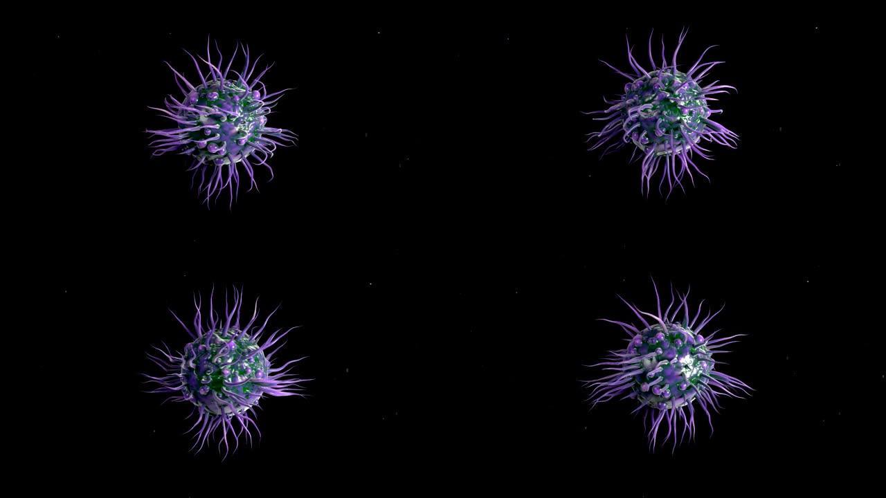 4k树突状细胞。病毒细胞病毒细菌病毒模型
