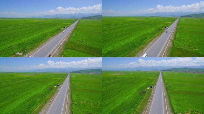 鸟瞰一望无际的绿色麦田里的道路