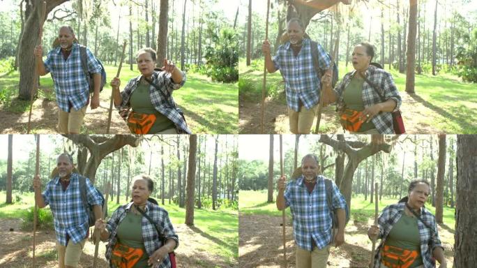 非裔美国高级夫妇在树林中徒步旅行
