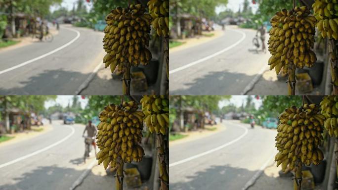 悬挂在斯里兰卡路边的香蕉女士