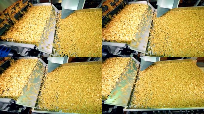 大量的薯片沿着传送带移动。薯片产量。