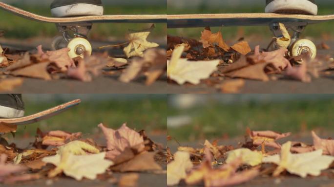 宏观: 滑板手骑着木板后，秋叶在空中飞舞。