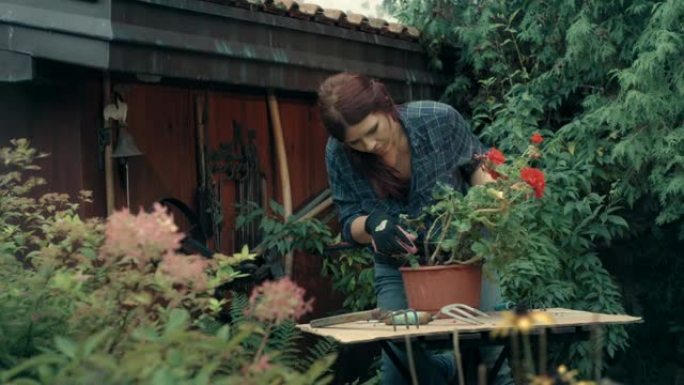 女人在花园里种花